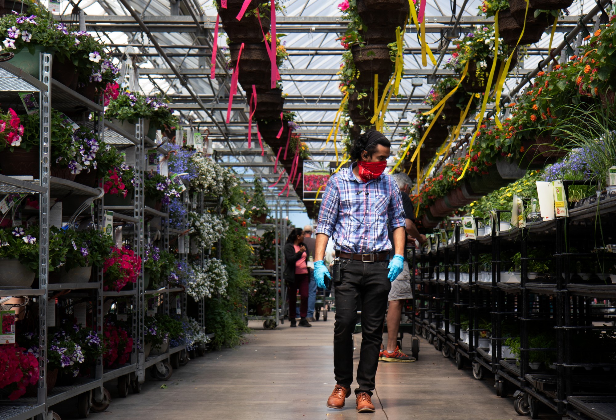 Kabir Khan, a St. Paul State University student and IT and network solutions worker at Gertens, browses the plant selection at Gertens greenhouse and nursery in Inver Grove Heights on Sunday, May 3. “We had to set up almost double the amount [of comuters for chechout stations]…We had to set up 60 to 70 computers so that people can maintain a good distance and the ckeckouts…go by soothly,” Khan said. 
