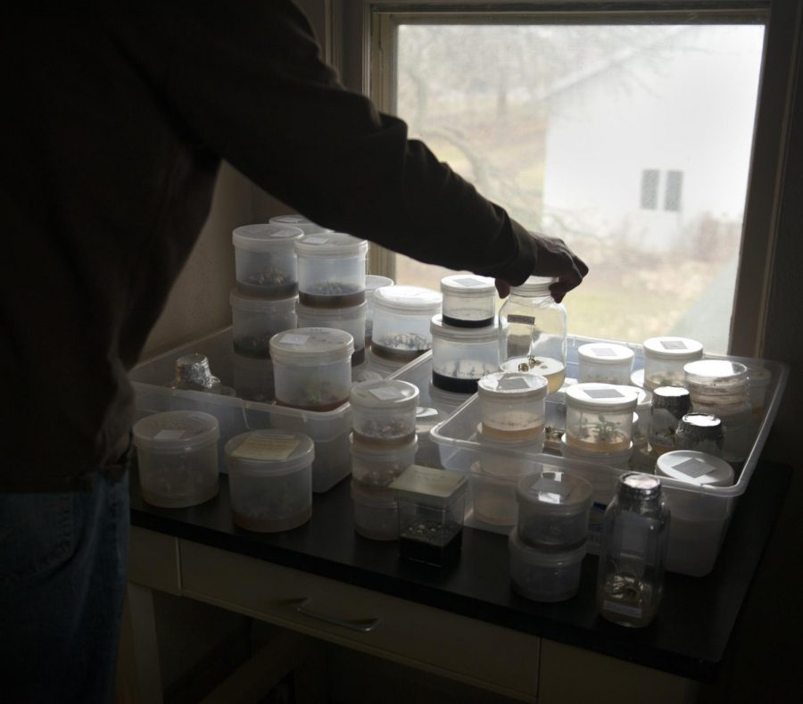 David Remucal shows some of the plant containers at the University of Minnesota Horticultural Research Center on Monday, Nov. 9.