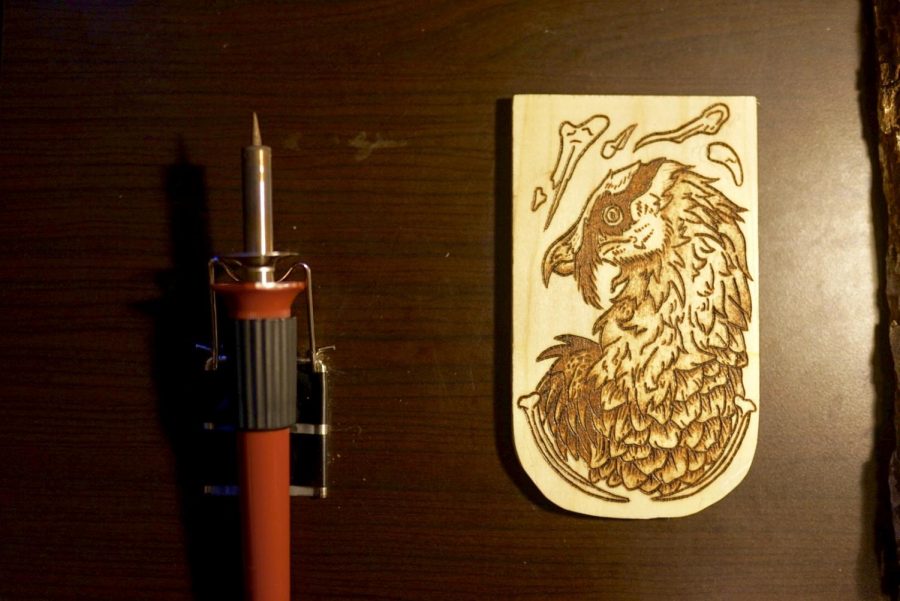 “A year ago my sister gave me this wood-burning kit and I have loved drawing all sorts of animals, showing the beauty with these creatures” Sarah Copeland discusses her love of wood-burning and nature in Minneapolis on Tuesday, Jan. 19.