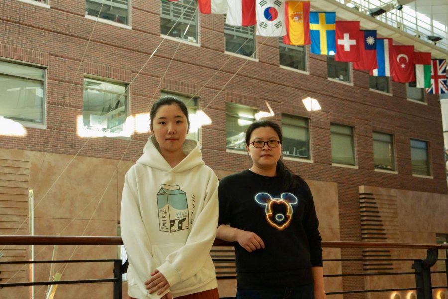 International Student Advisory Board members Yining Wang and Peng Ge pose in front of a row of world flags at the Carlson School of Management on Wednesday, Feb. 26. Wang is a masters student in the Carlson School and Ge is a Ph.D. student in the College of Pharmacy.