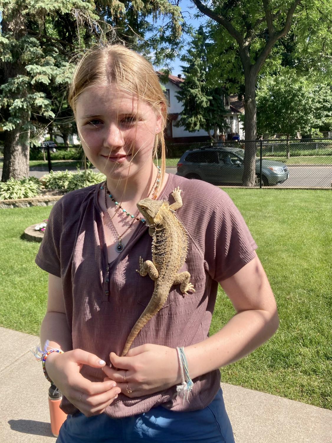 A Bearded Dragon S Day Out The Journey Of A Reptile Who Toured The City The Minnesota Daily