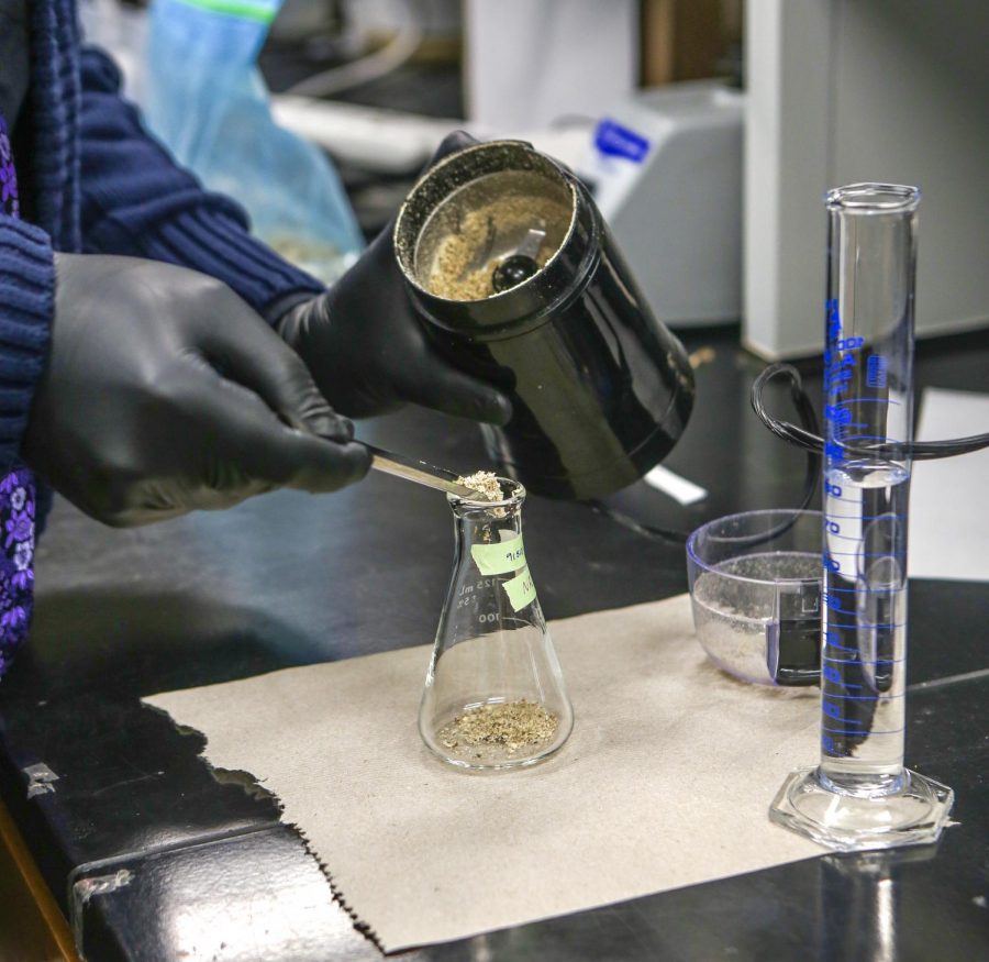 Graduate Researcher Tariq Bastawisy transfers ground Moringa oleifera seeds to a flask to create a mask coating on Wednesday, Nov. 3. University of Minnesota researchers have been working on a mask coating that kills COVID-19.