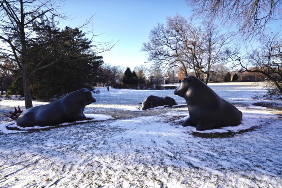 The bronze bull sculptures, designed by artist Peter Woytuk, outside of Haecker Hall on the St. Paul Campus on Monday, Dec. 6.