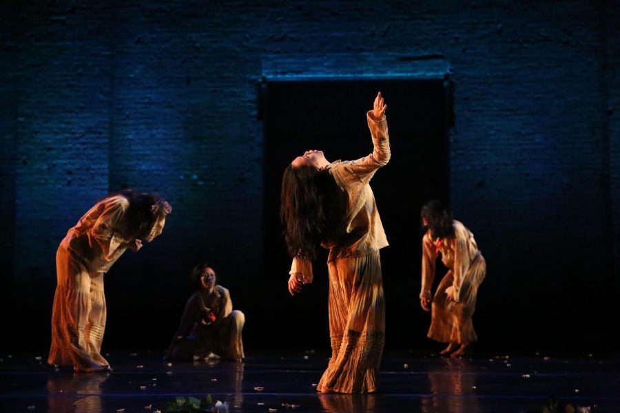 The Limón Dance Company will be coming to Northrop in November. 