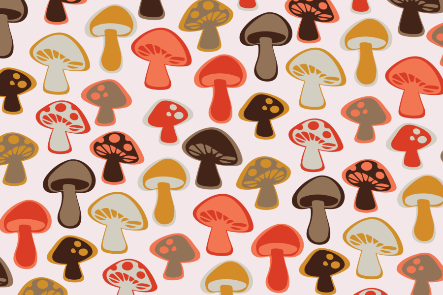 White: This is your mind on mushrooms