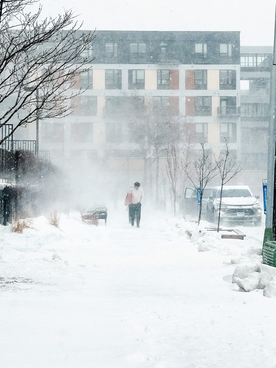 Students get caught in a sudden flurry on their walk home from the Dinkytown Target on Tuesday. The unexpected snowstorm, which swept through Minneapolis this weekend, left nearly a foot of snow.