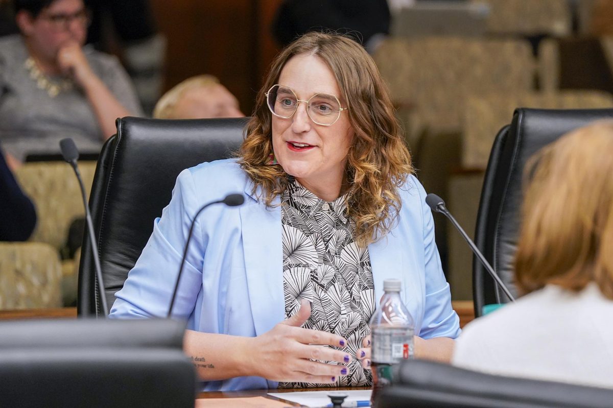 The number of women in the Minnesota government has increased greatly in the 100 years since women first were elected to the Minnesota Legislature.