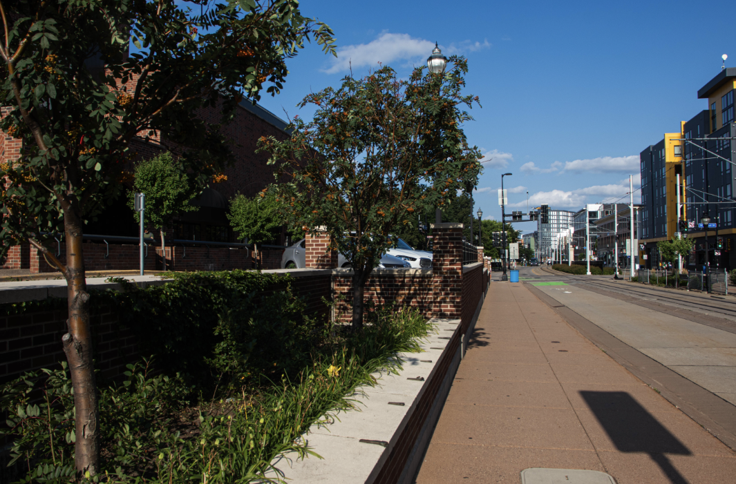 The city, with its partner Tree Trust, provides and plants the trees for free.