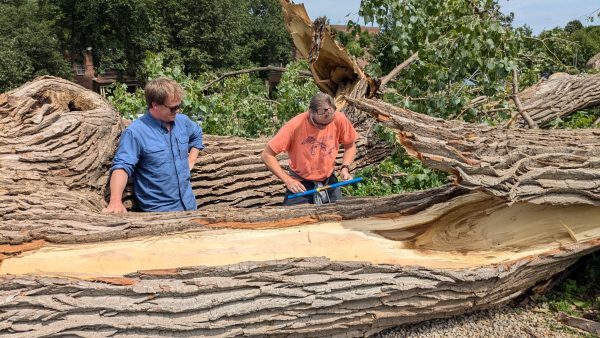 The storms had winds up to 65 miles per hour and resulted in over one thousand clean-up orders. Photo Courtesy of Leon van Eck