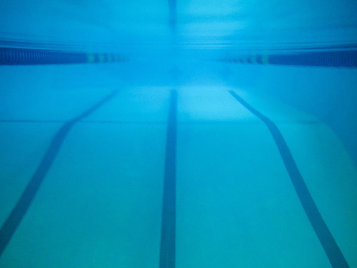 Students practice in the diving well at the Jean K. Freeman Aquatic Center attached to the Recreation and Wellness Center.