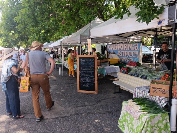 Customers browse past vendors offering fresh fruit and vegetables at Northeast Farmers Market in Minneapolis. Saturday, June 27, 2026.